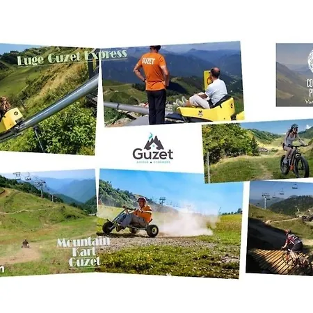 Apartment Le Loft Dore Ustou