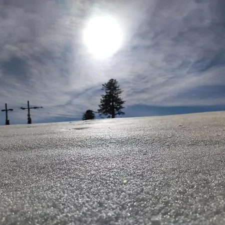 Le Loft Dore Apartment