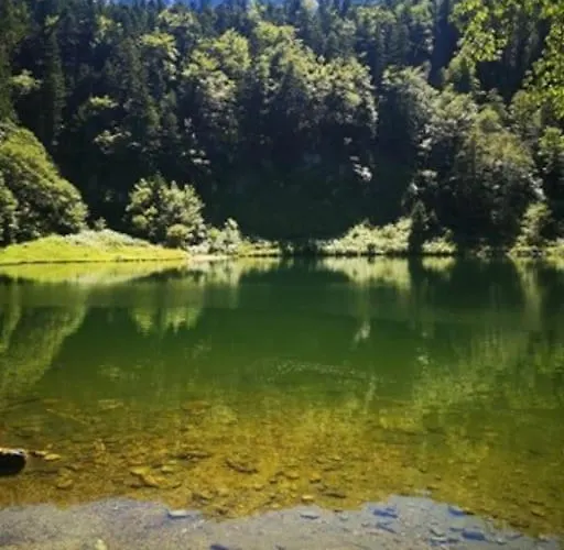 Le Loft Dore Διαμέρισμα *