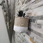 Le Loft Dore Apartment