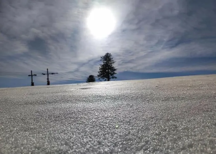 Le Loft Dore Апартаменты